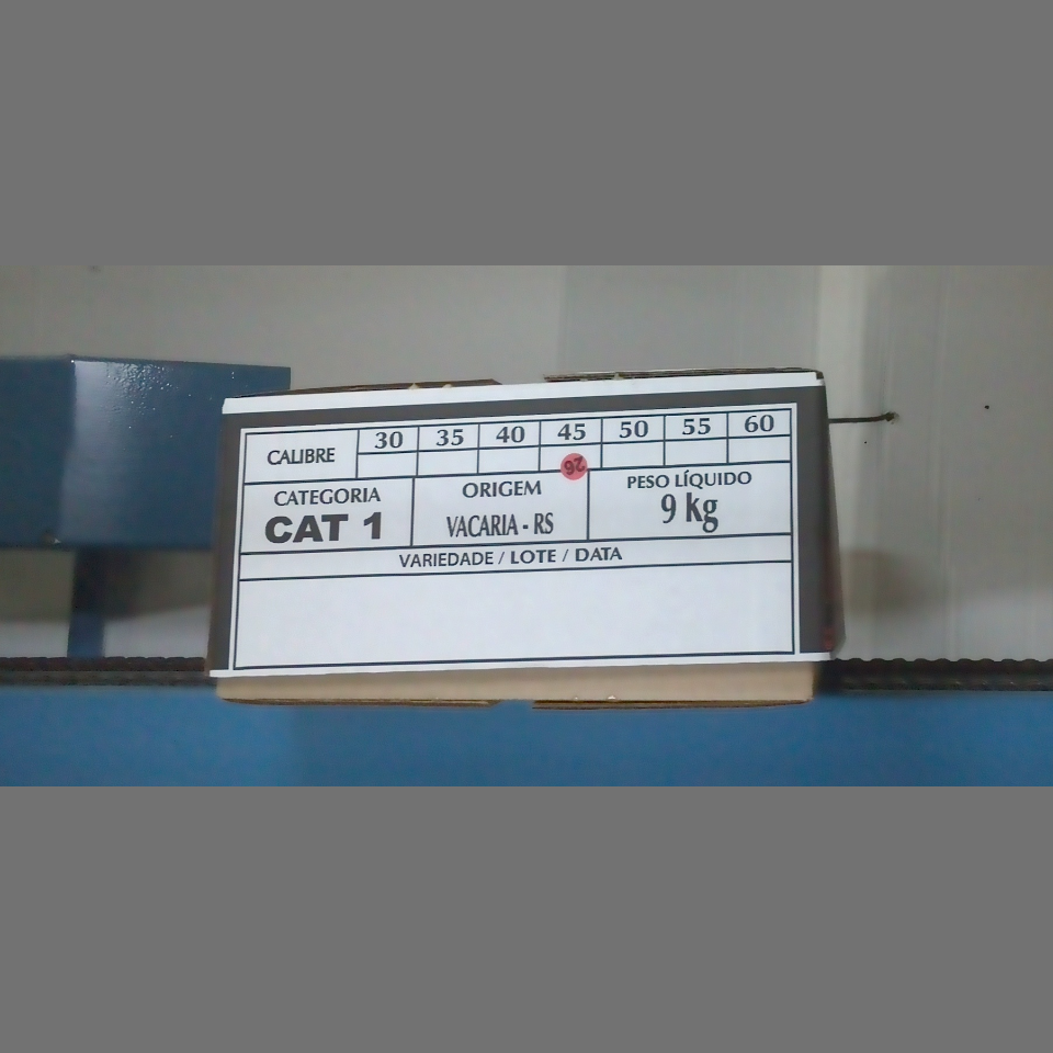 Candidata do calibre · central · 960 utilizado na inferência