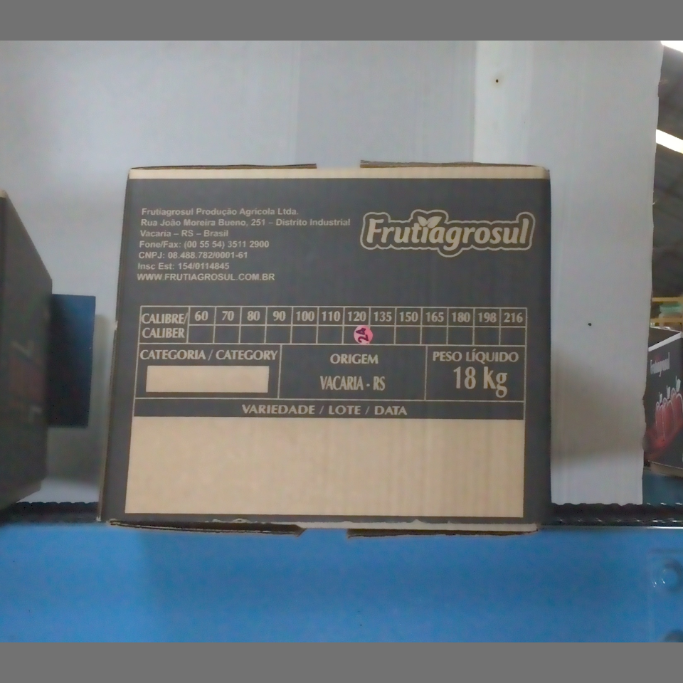 Candidata do calibre · central · 960 utilizado na inferência