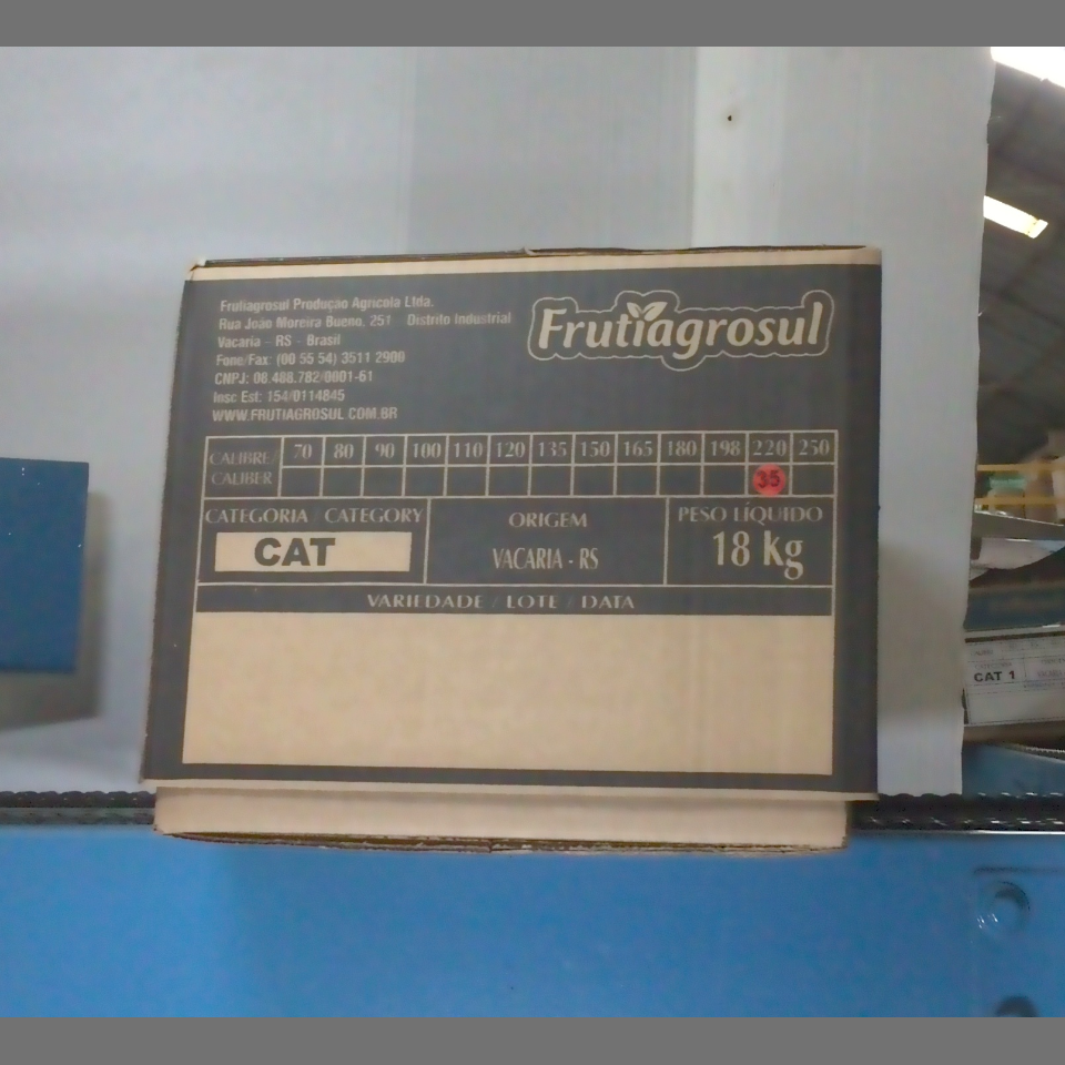 Candidata do calibre · central · 960 utilizado na inferência