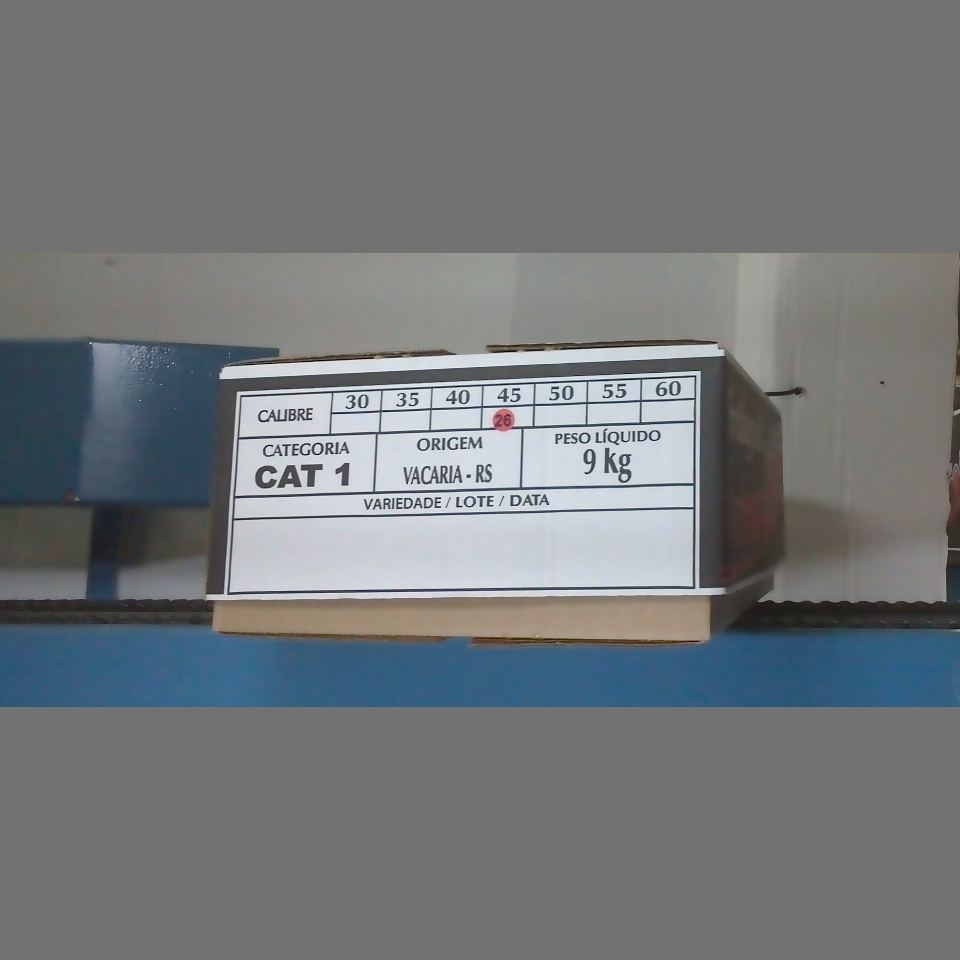 Candidata do calibre · central · 960 utilizado na inferência