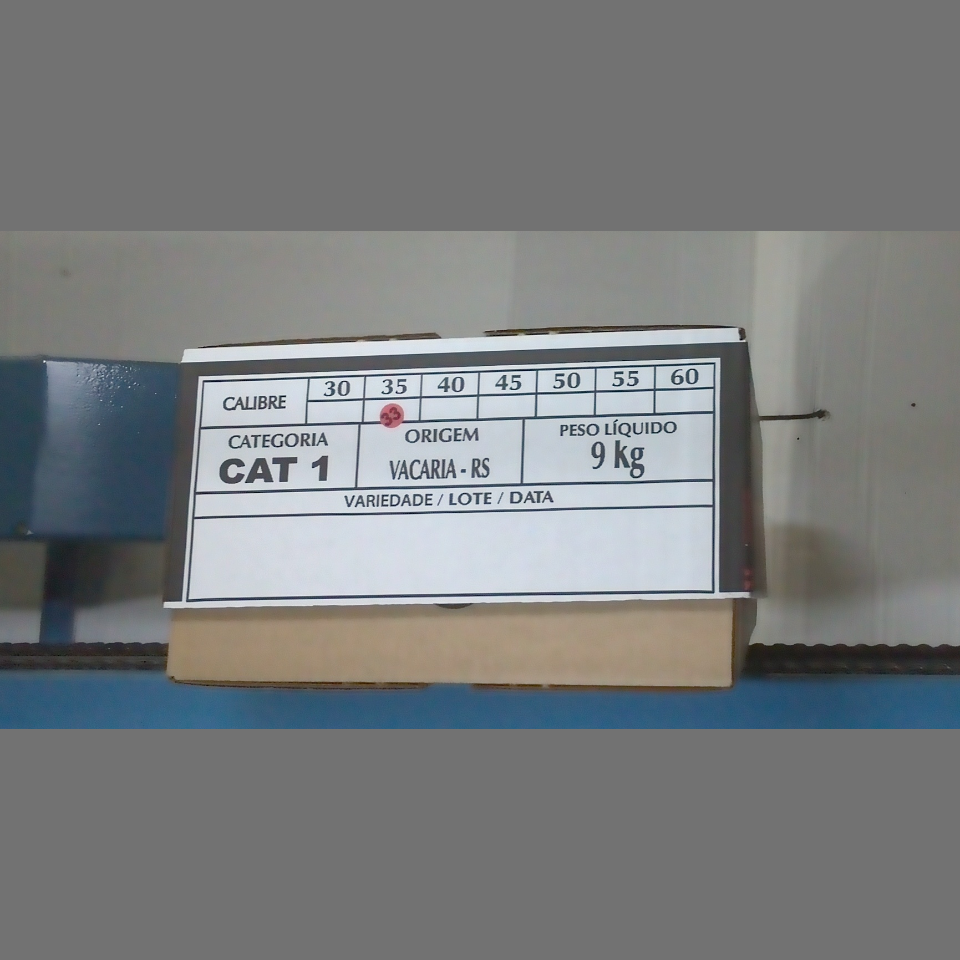 Candidata do calibre · central · 960 utilizado na inferência