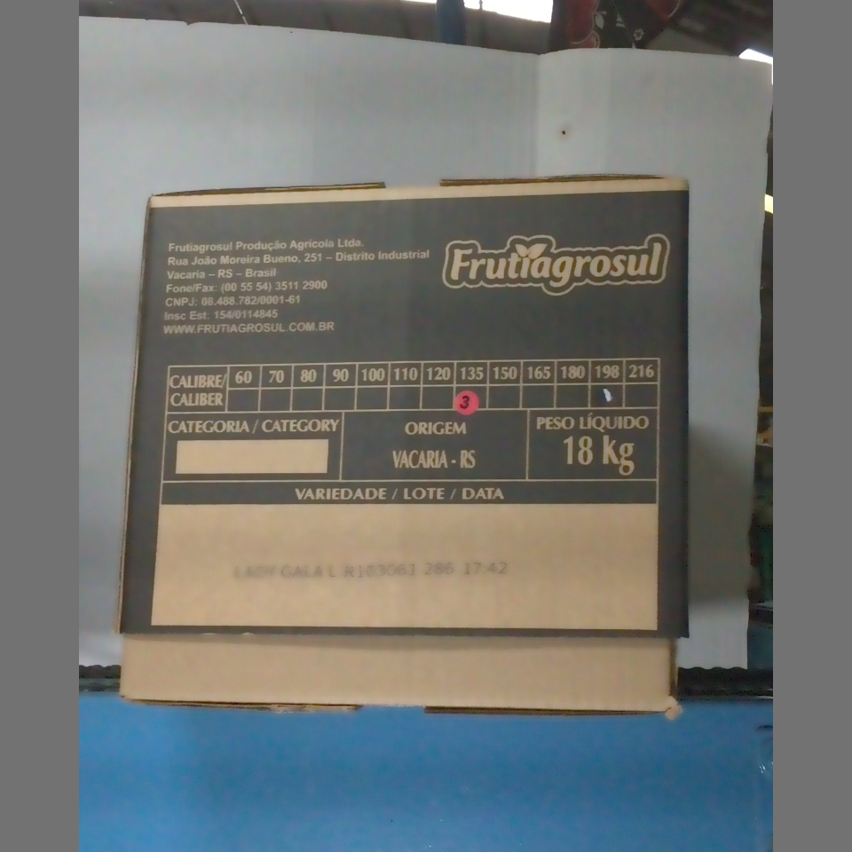 Candidata do calibre · central · 960 utilizado na inferência