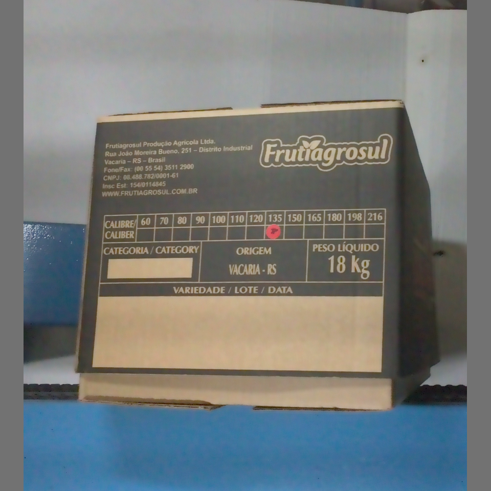 Candidata do calibre · central · 960 utilizado na inferência