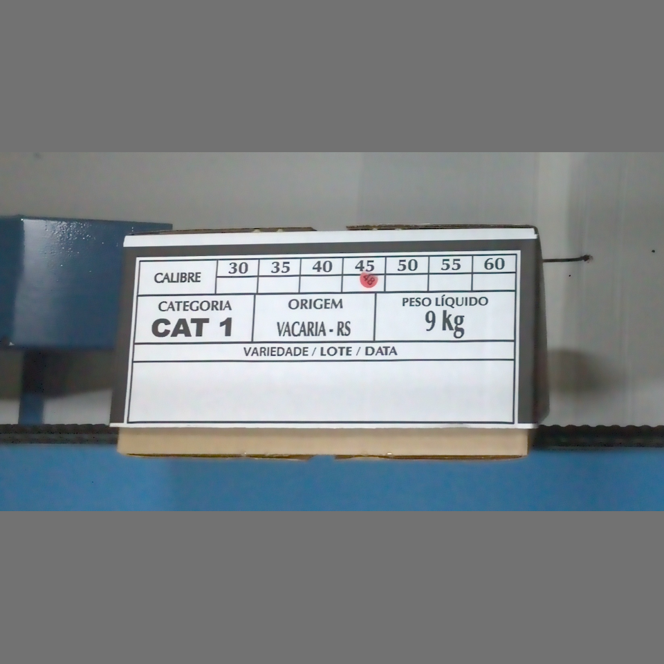 Candidata do calibre · central · 960 utilizado na inferência