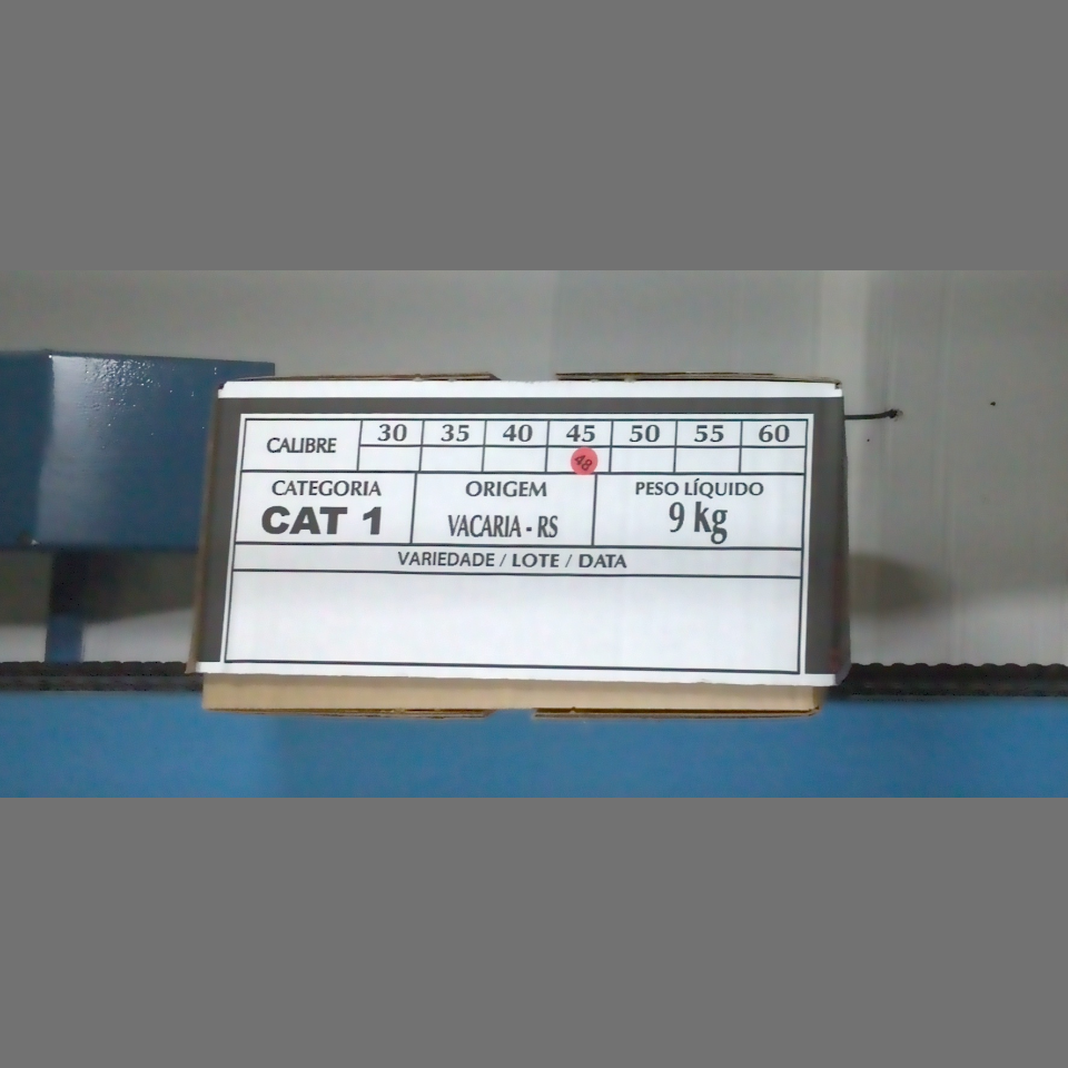 Candidata do calibre · central · 960 utilizado na inferência