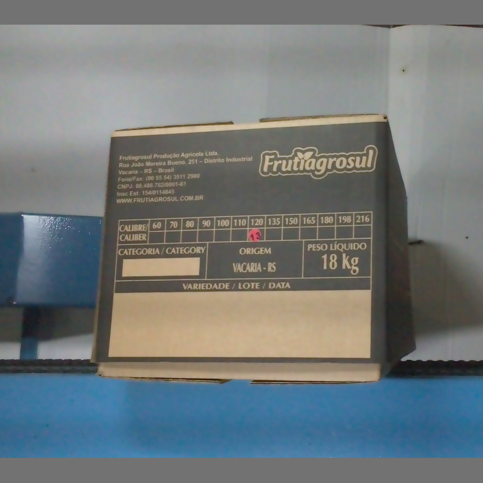 Candidata do calibre · central · 960 utilizado na inferência