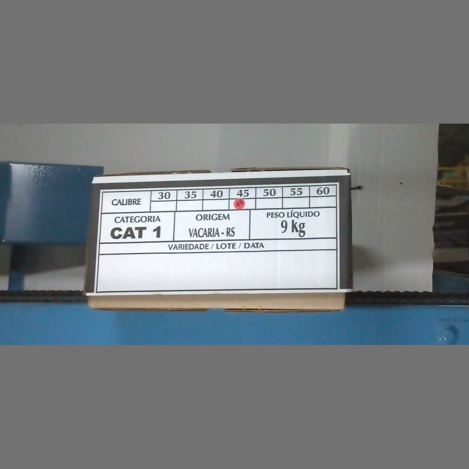 Candidata do calibre · central · 960 utilizado na inferência