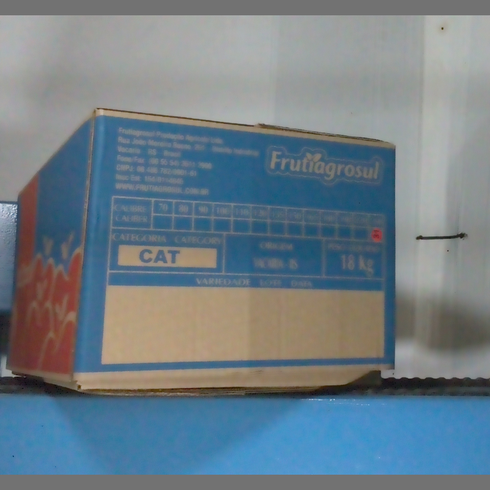 Candidata do calibre · central · 960 utilizado na inferência