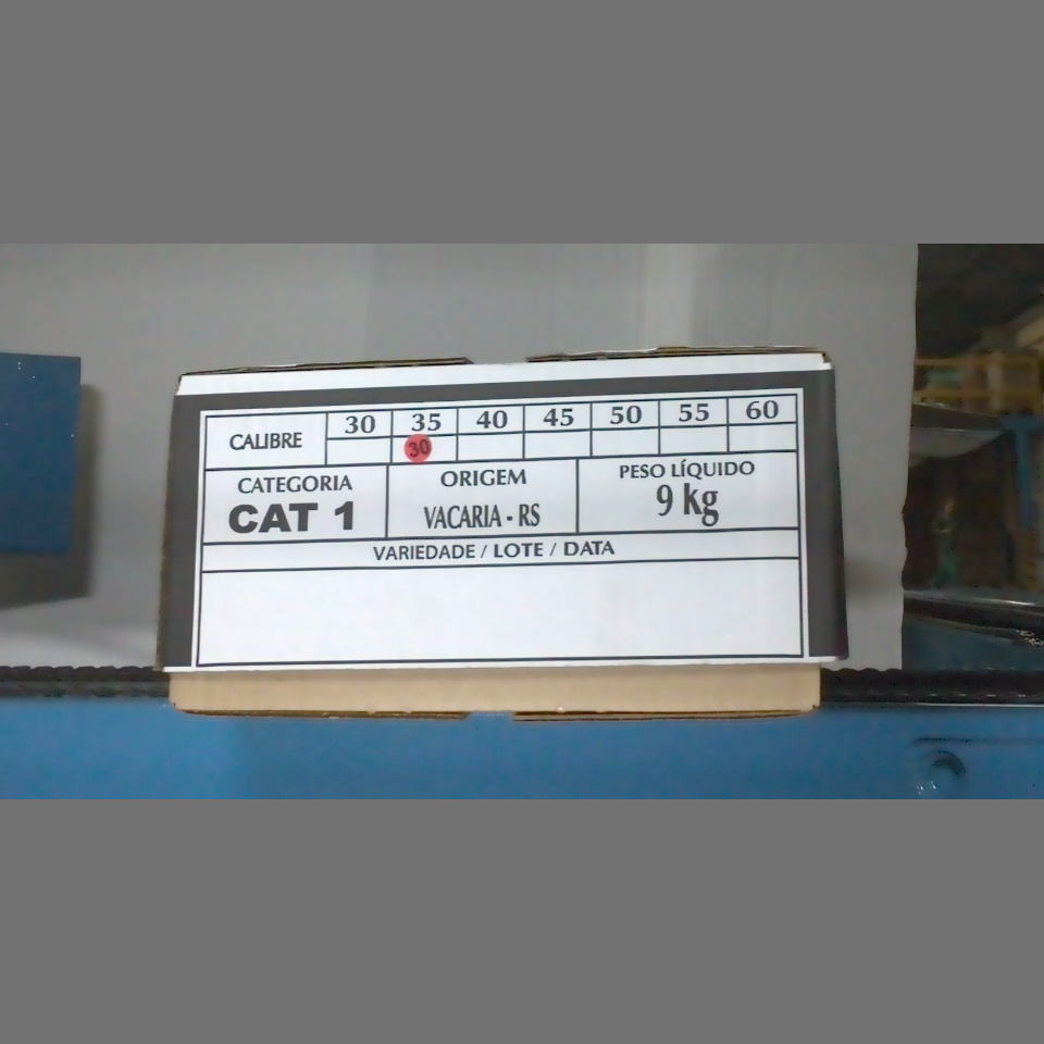 Candidata do calibre · central alternativa · 960 utilizado na inferência