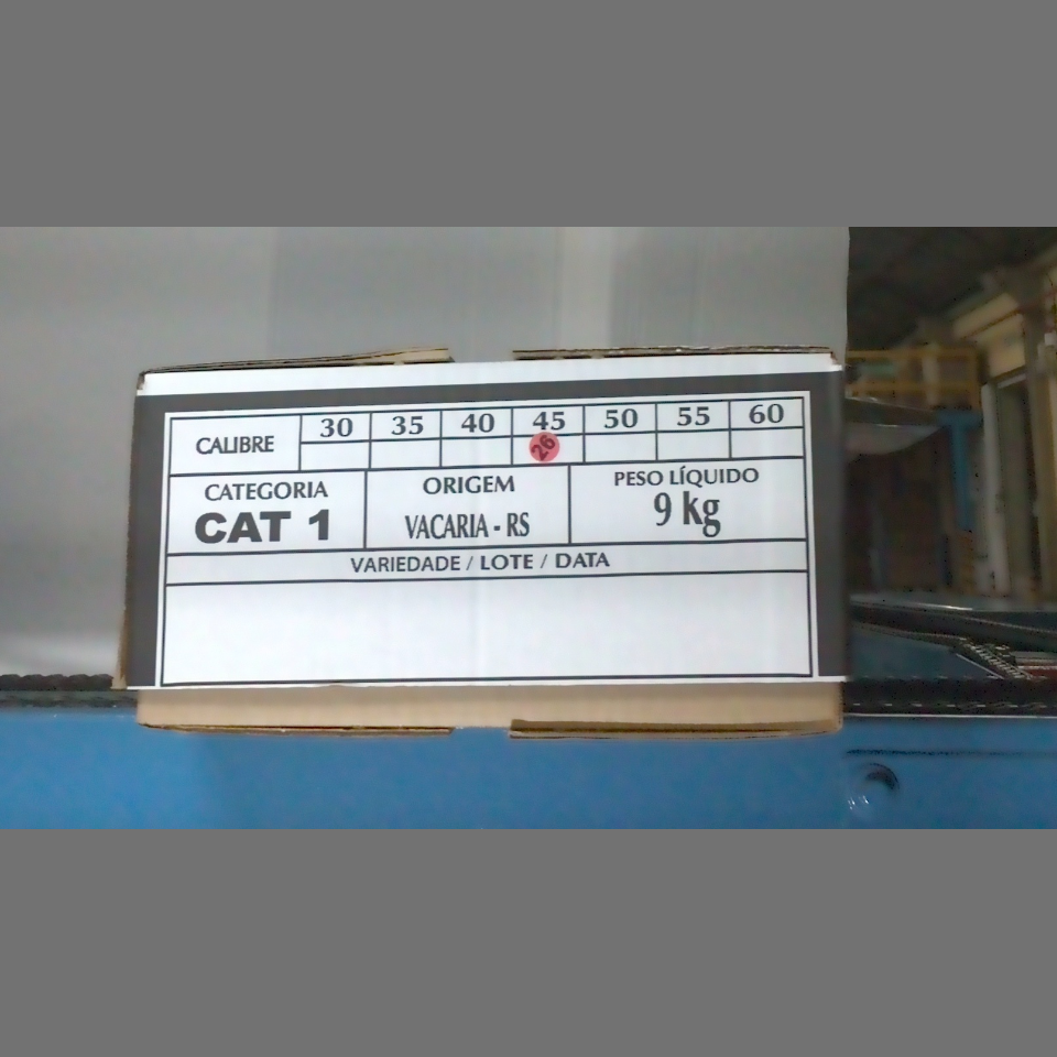 Candidata do calibre · central · 960 utilizado na inferência