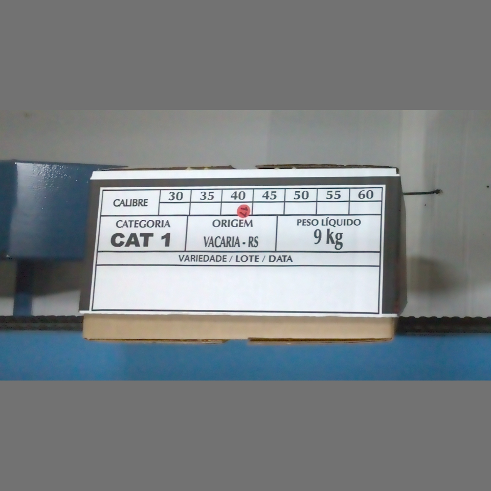 Candidata do calibre · central · 960 utilizado na inferência