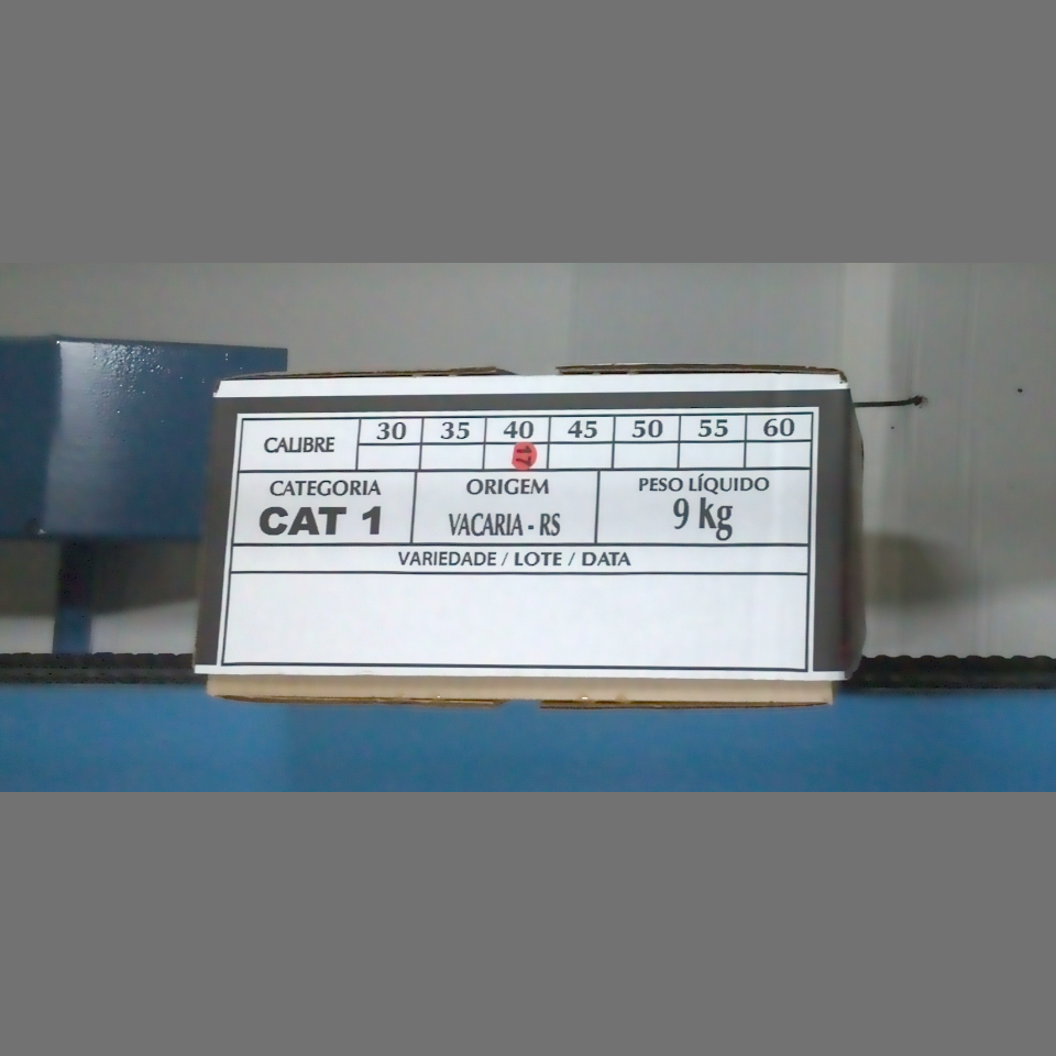 Candidata do calibre · central · 960 utilizado na inferência