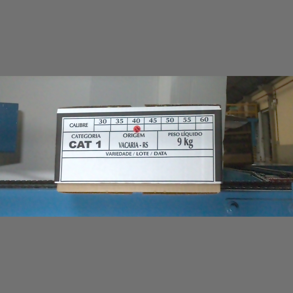 Candidata do calibre · central · 960 utilizado na inferência