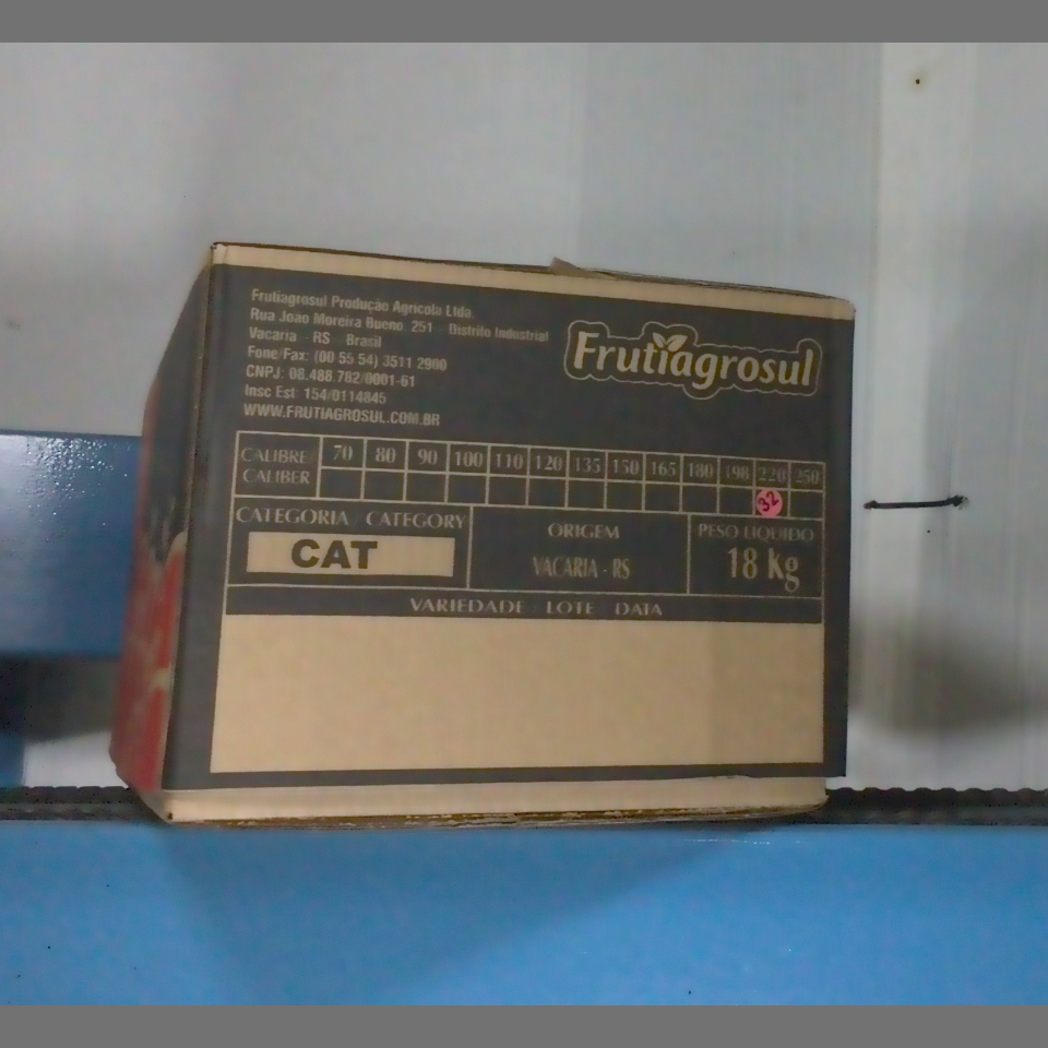 Candidata do calibre · central · 960 utilizado na inferência