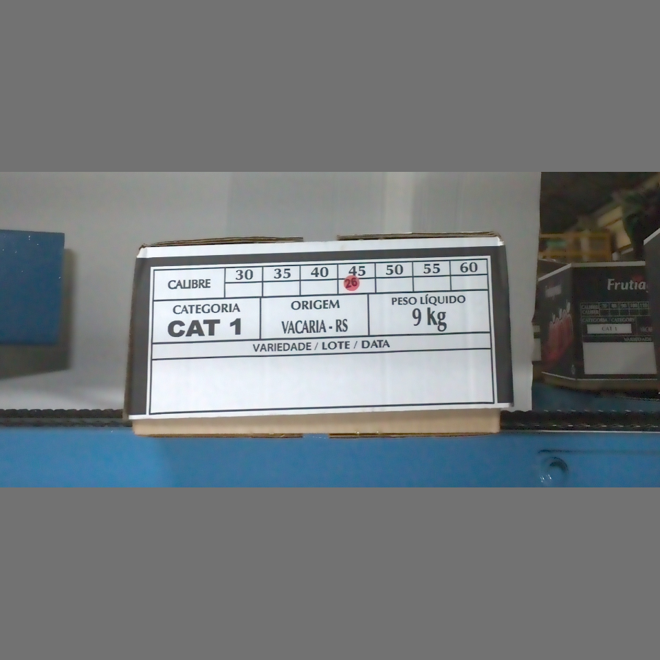 Candidata do calibre · central · 960 utilizado na inferência