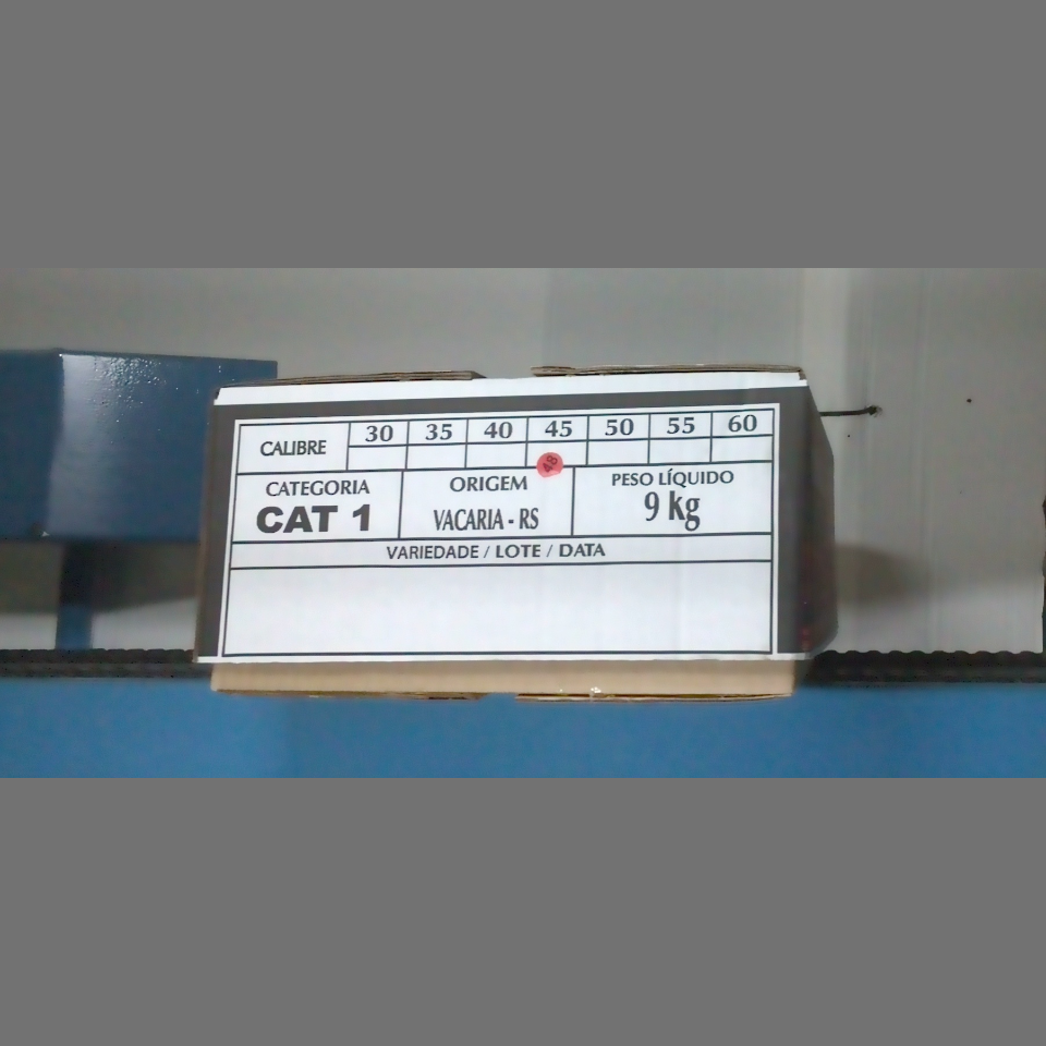 Candidata do calibre · central · 960 utilizado na inferência
