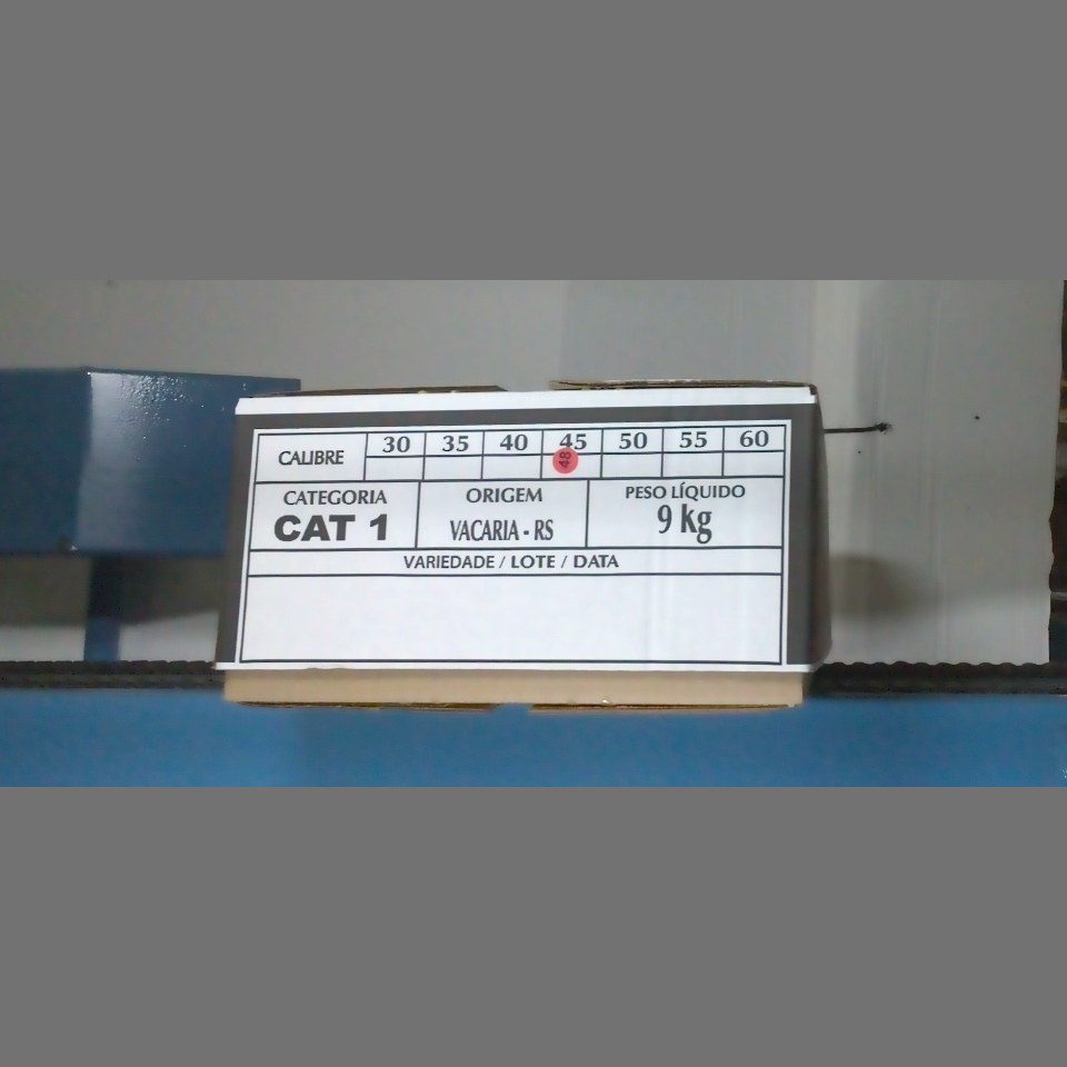 Candidata do calibre · central · 960 utilizado na inferência