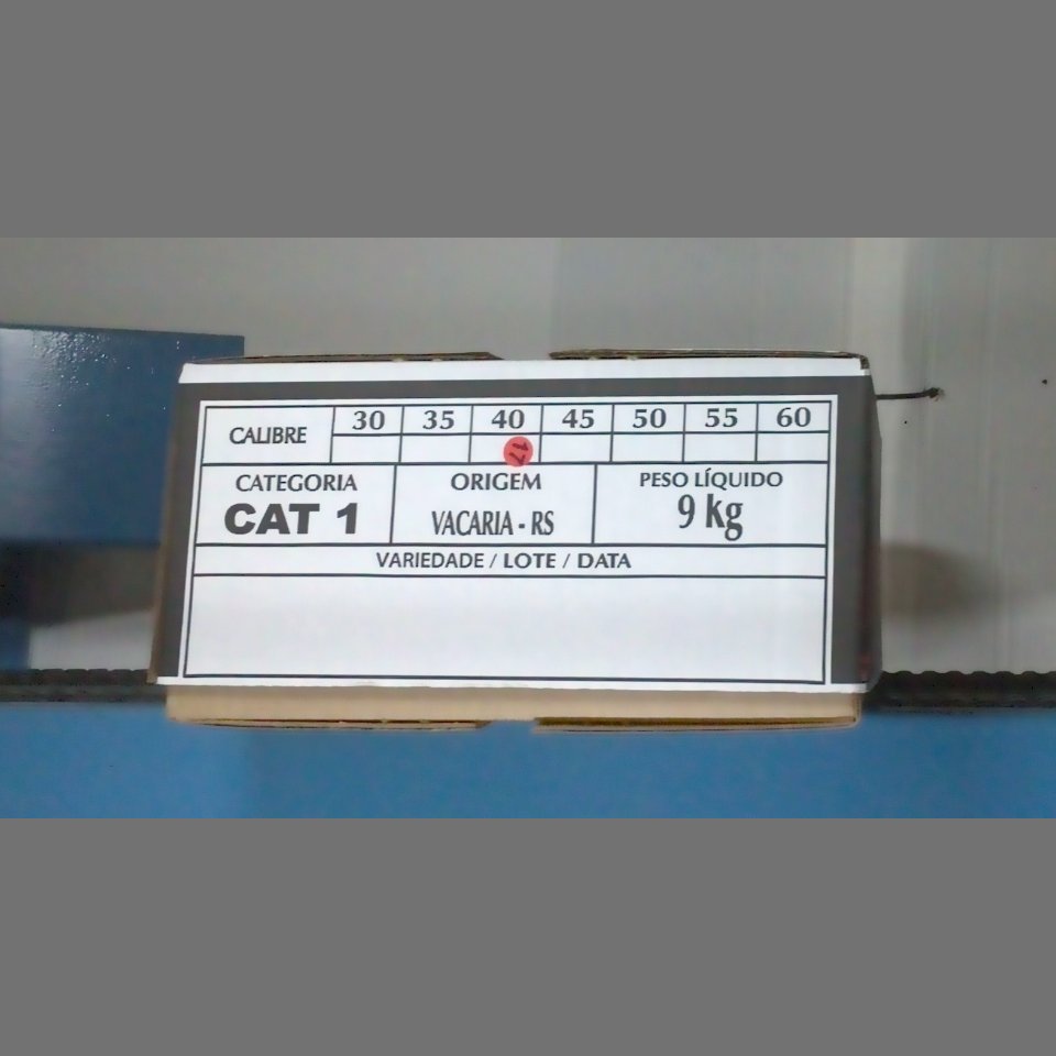 Candidata do calibre · central · 960 utilizado na inferência