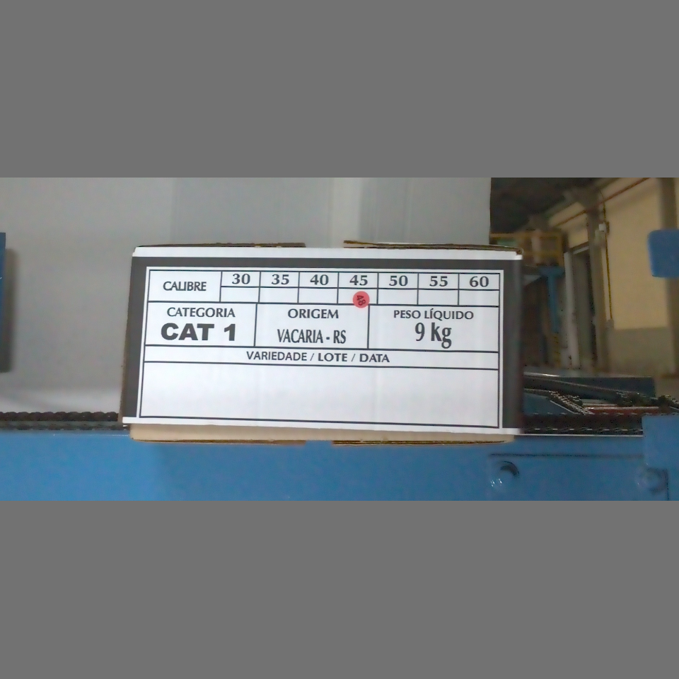 Candidata do calibre · central · 960 utilizado na inferência