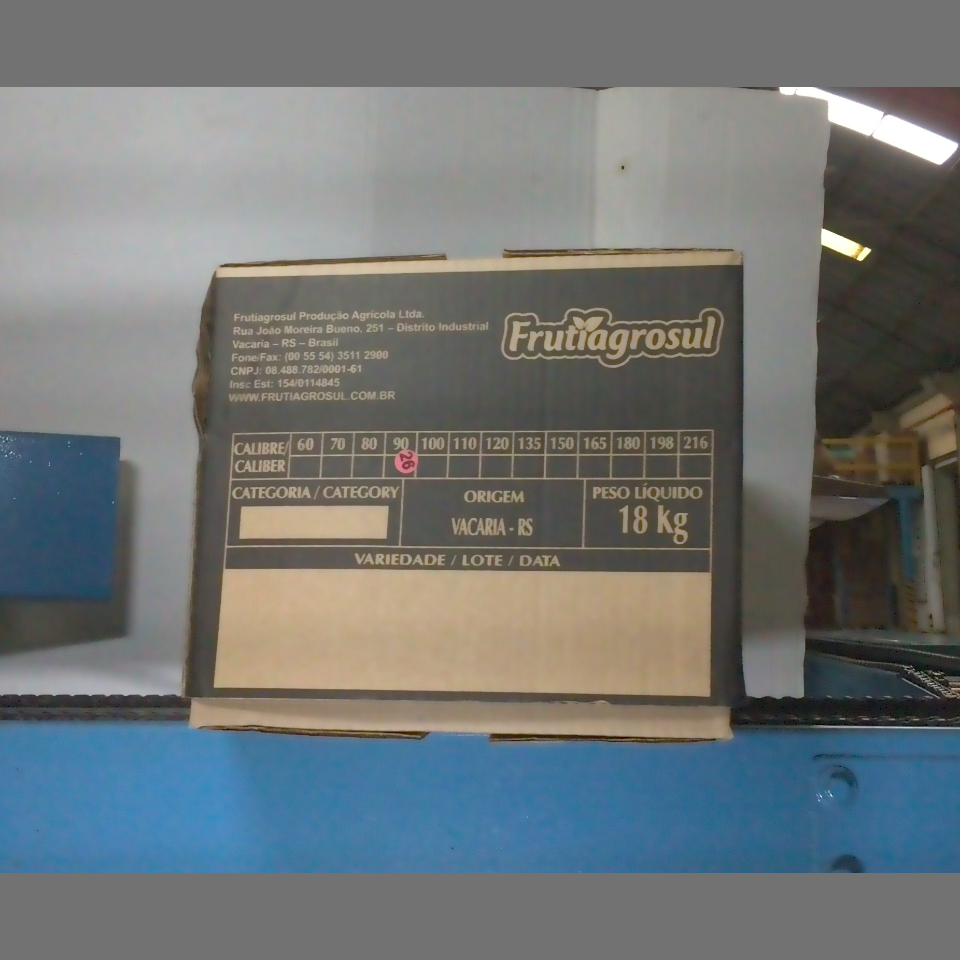 Candidata do calibre · central · 960 utilizado na inferência