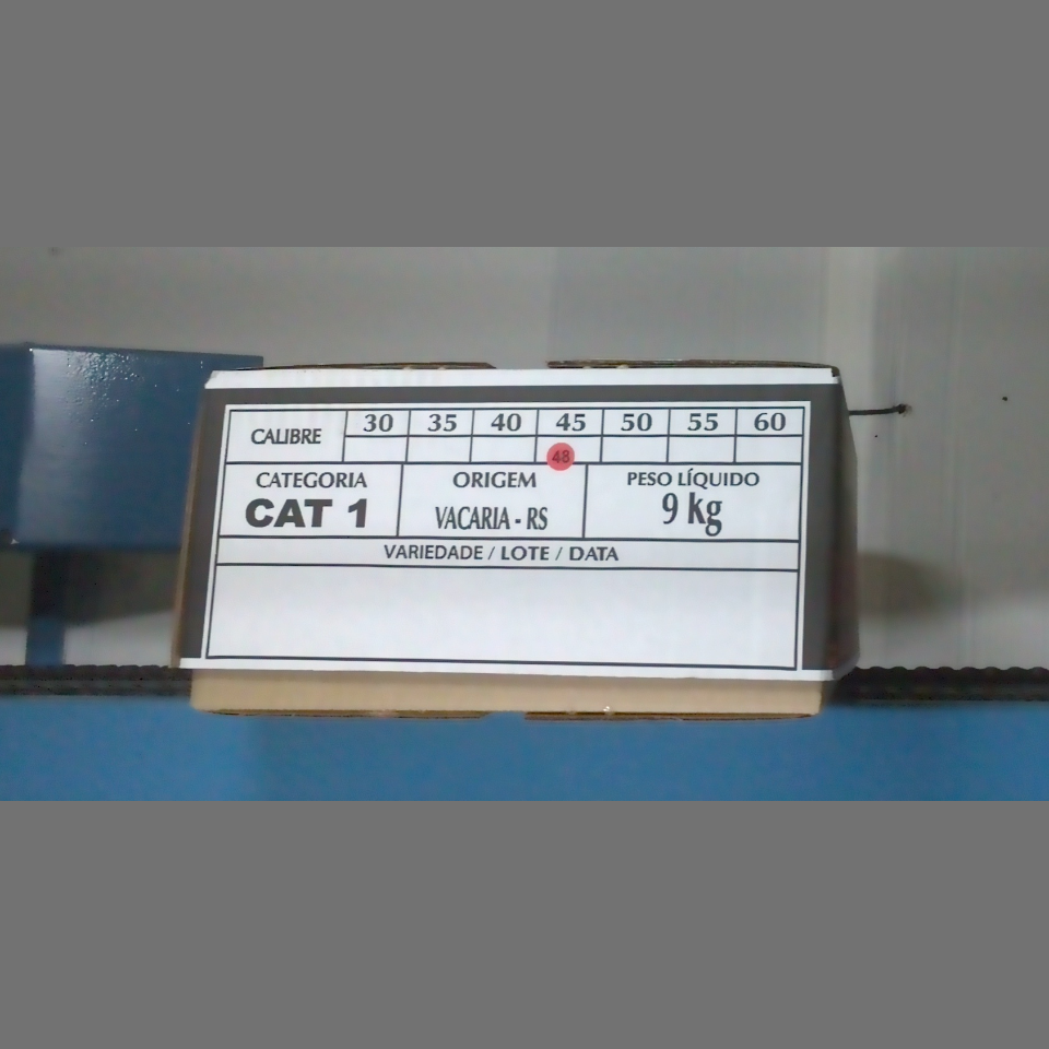 Candidata do calibre · central · 960 utilizado na inferência