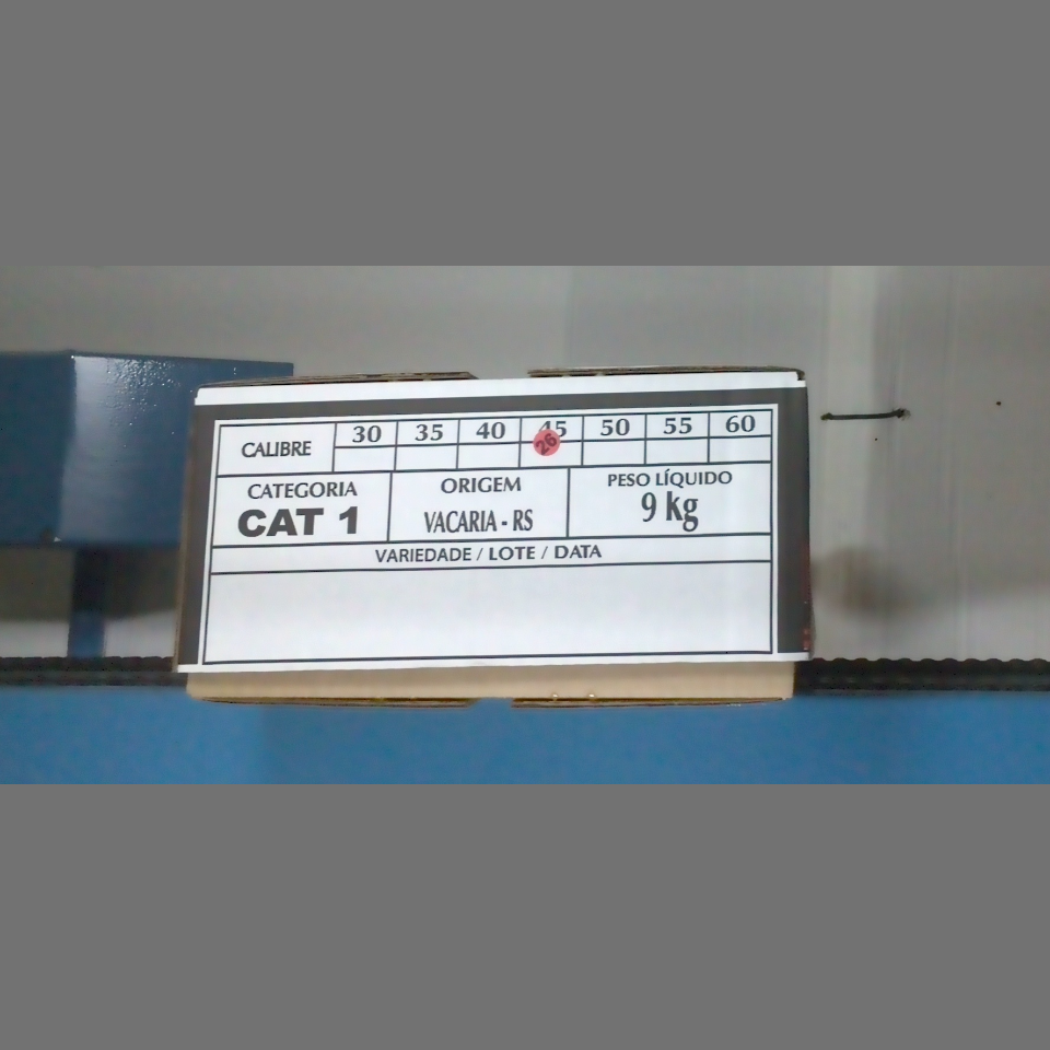 Candidata do calibre · central · 960 utilizado na inferência