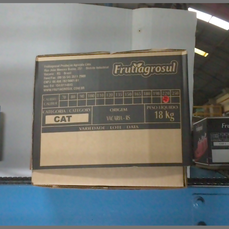 Candidata do calibre · central · 960 utilizado na inferência