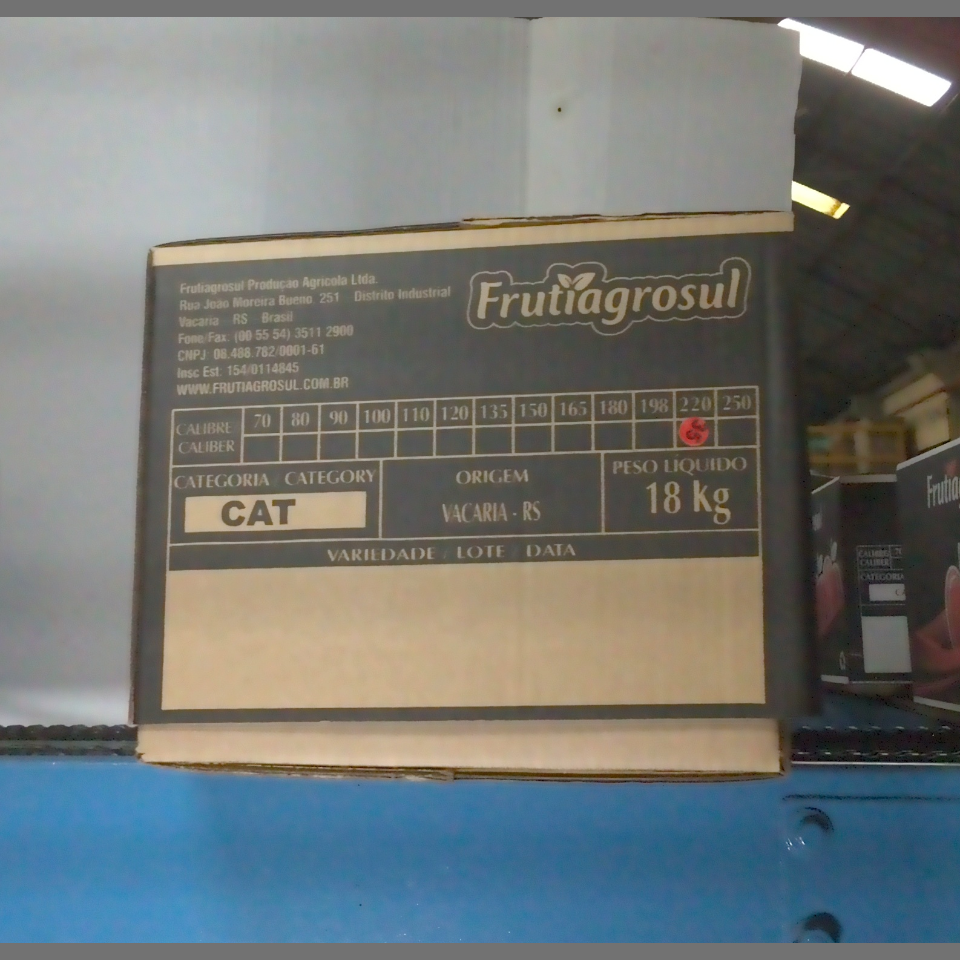 Candidata do calibre · central · 960 utilizado na inferência