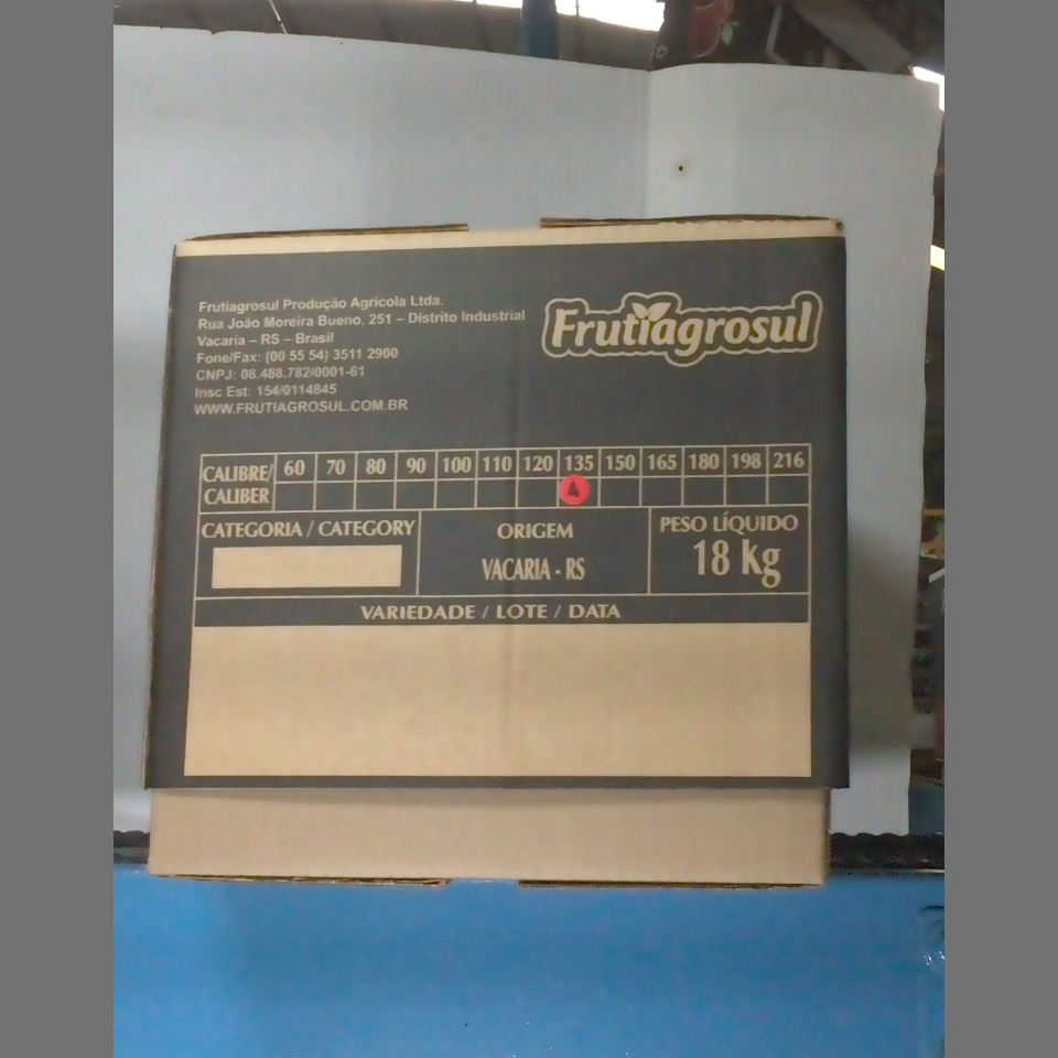 Candidata do calibre · central · 960 utilizado na inferência