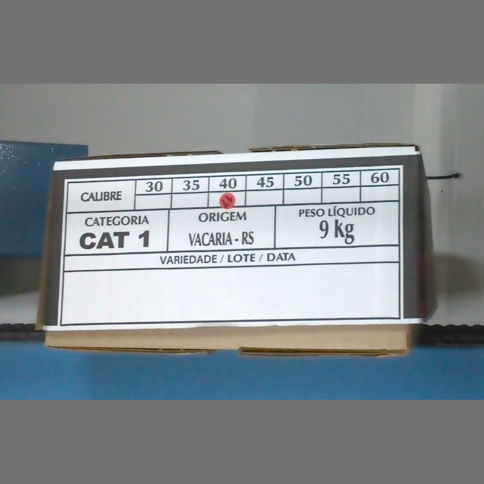 Candidata do calibre · central · 960 utilizado na inferência