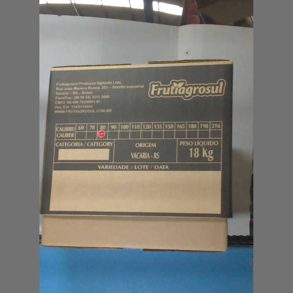 Candidata do calibre · central · 960 utilizado na inferência