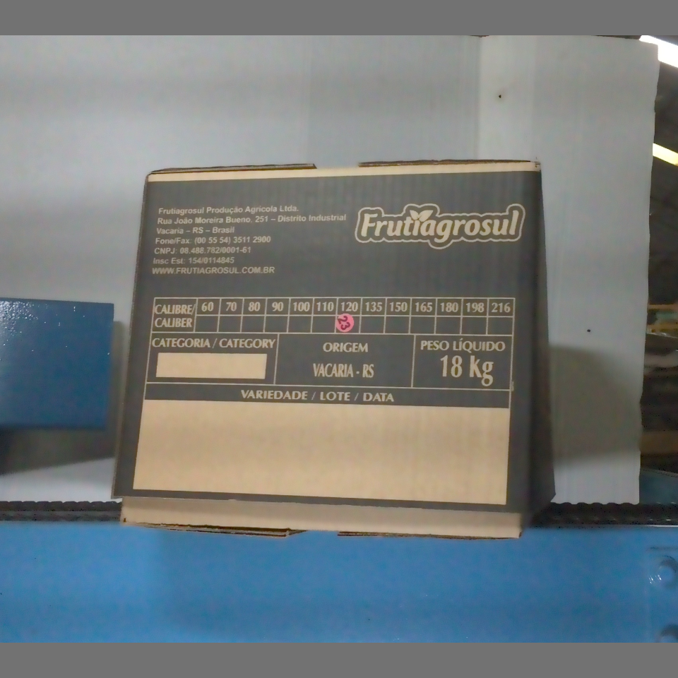 Candidata do calibre · central · 960 utilizado na inferência