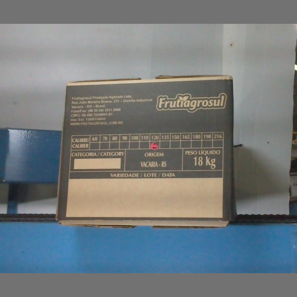Candidata do calibre · central · 960 utilizado na inferência