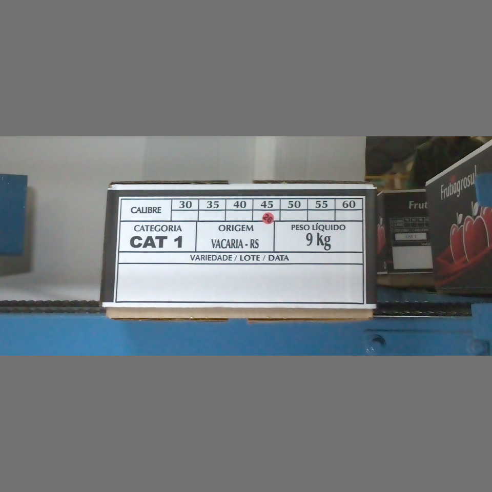 Candidata do calibre · central · 960 utilizado na inferência