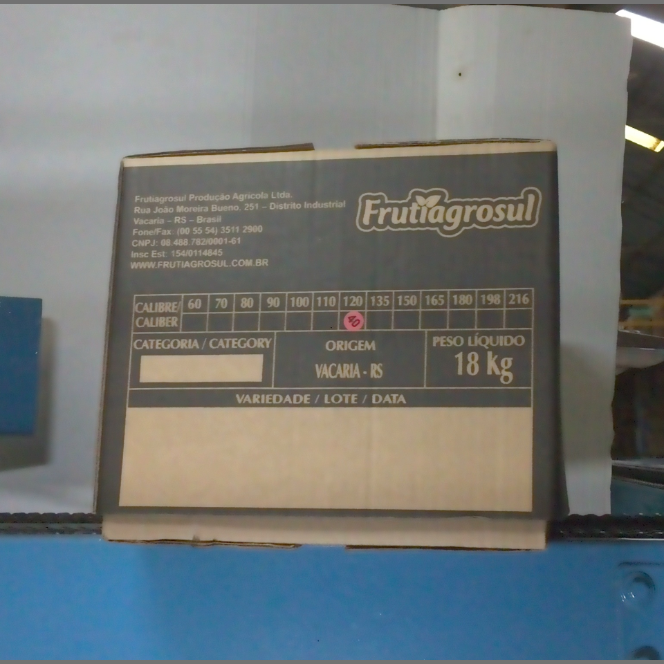 Candidata do calibre · central · 960 utilizado na inferência