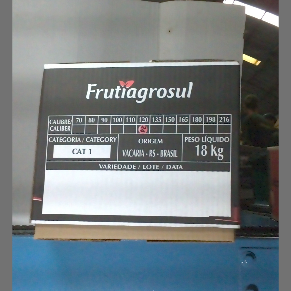 Candidata do calibre · central · 960 utilizado na inferência