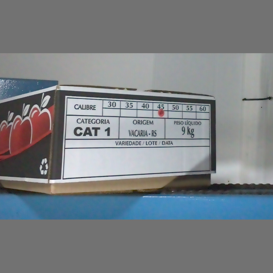 Candidata do calibre · central · 960 utilizado na inferência