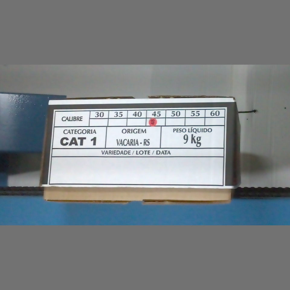 Candidata do calibre · central · 960 utilizado na inferência