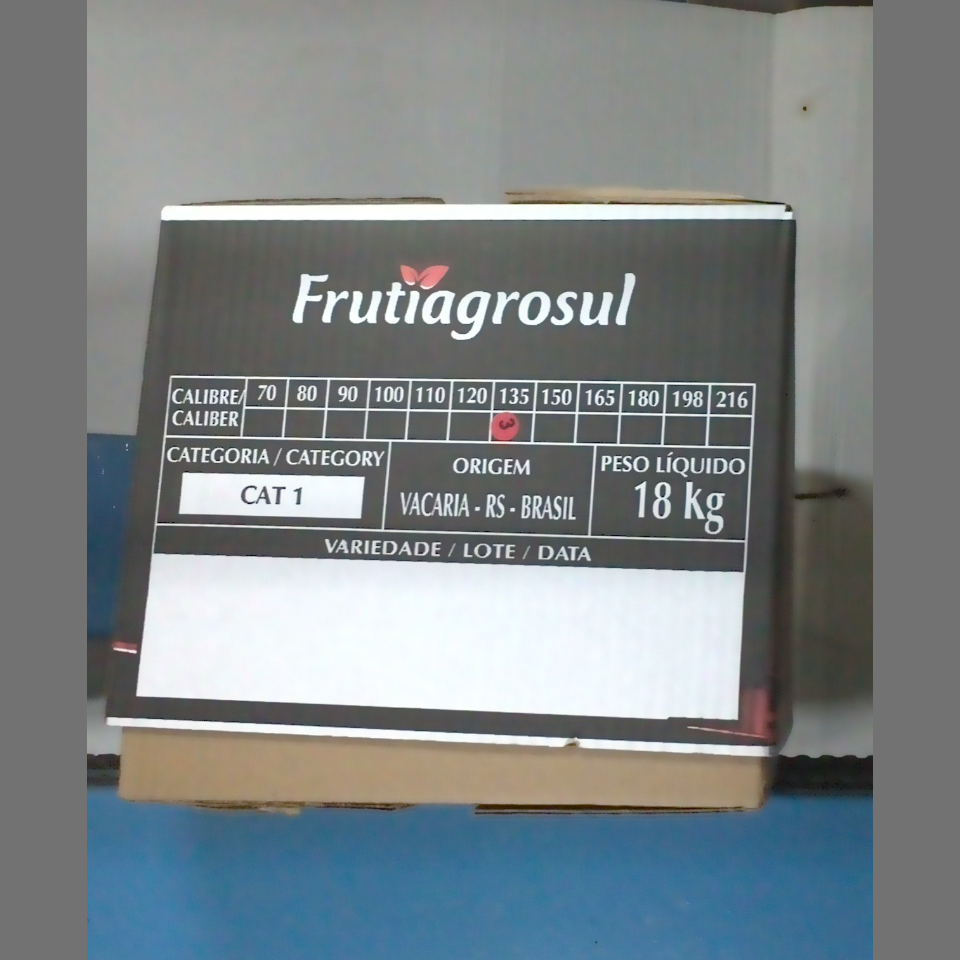 Candidata do calibre · central · 960 utilizado na inferência
