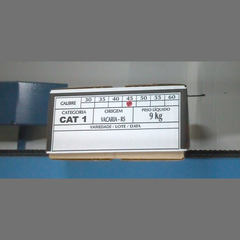 Candidata do calibre · central · 960 utilizado na inferência