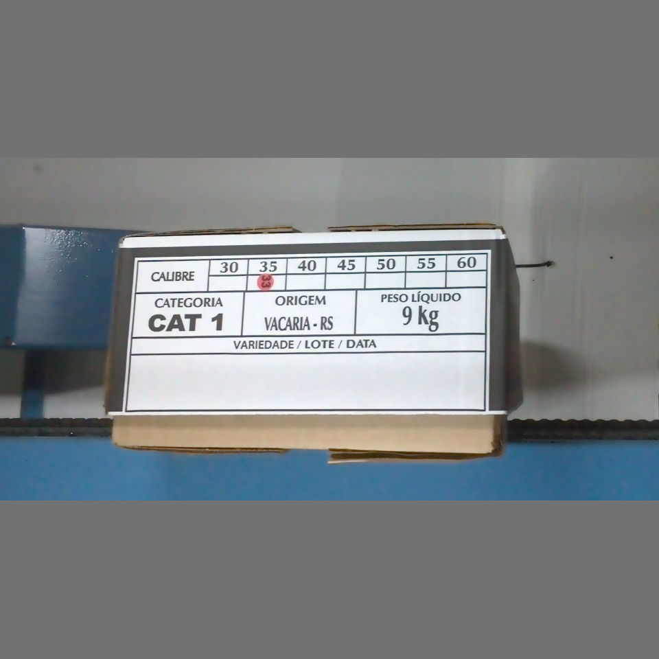 Candidata do calibre · central · 960 utilizado na inferência