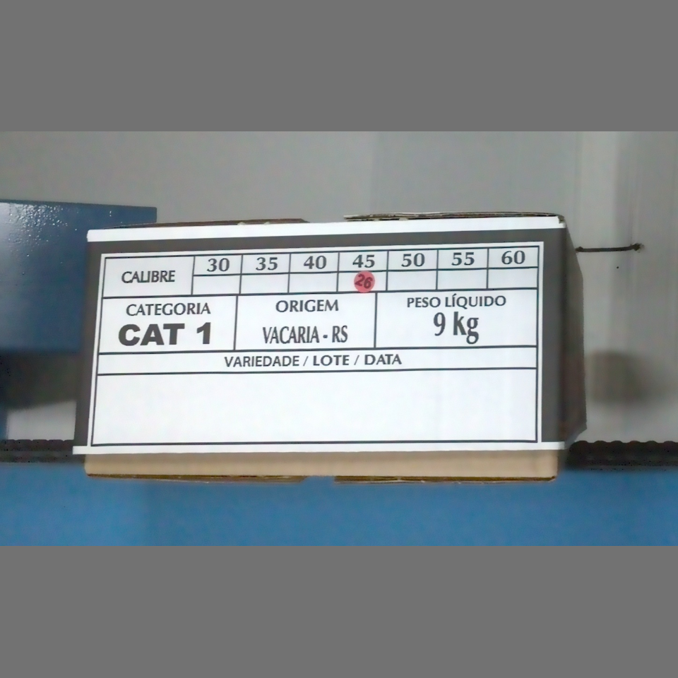 Candidata do calibre · central · 960 utilizado na inferência