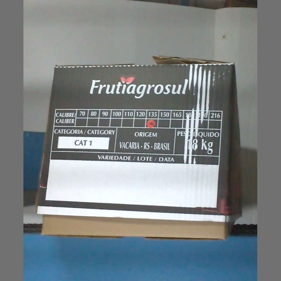 Candidata do calibre · central · 960 utilizado na inferência