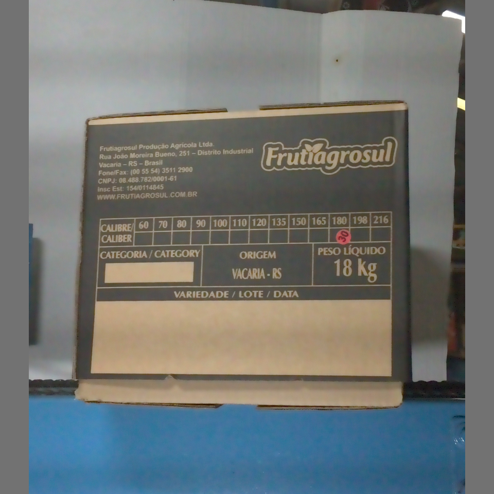 Candidata do calibre · central · 960 utilizado na inferência