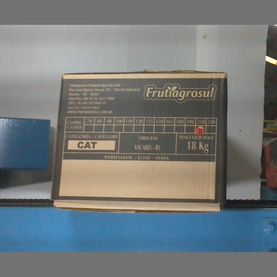 Candidata do calibre · central · 960 utilizado na inferência