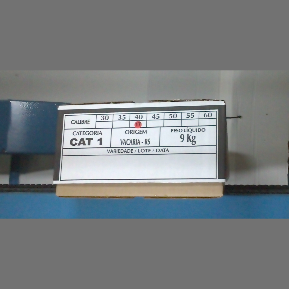 Candidata do calibre · central · 960 utilizado na inferência