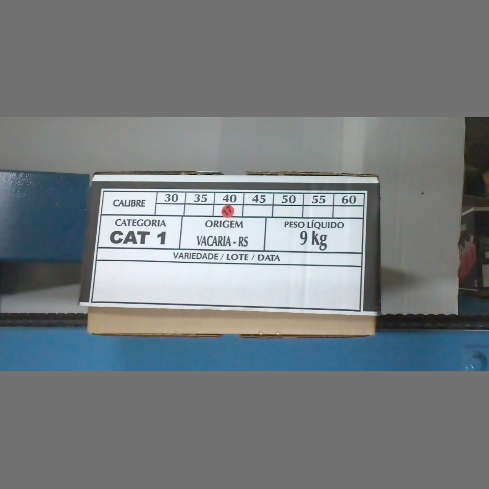 Candidata do calibre · central · 960 utilizado na inferência