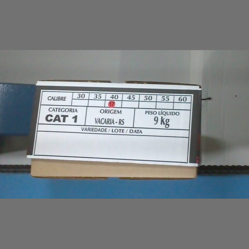 Candidata do calibre · central · 960 utilizado na inferência