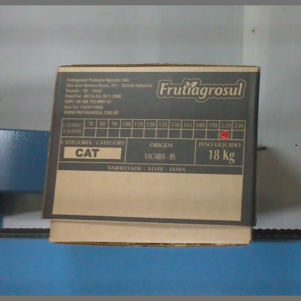 Candidata do calibre · central · 960 utilizado na inferência