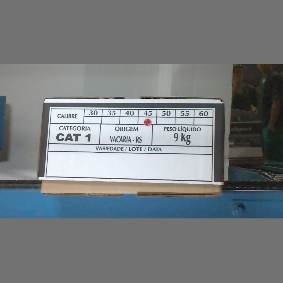 Candidata do calibre · central · 960 utilizado na inferência